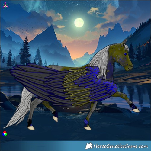 Horse Color:ERROR: UNKNOWN ANOMALY