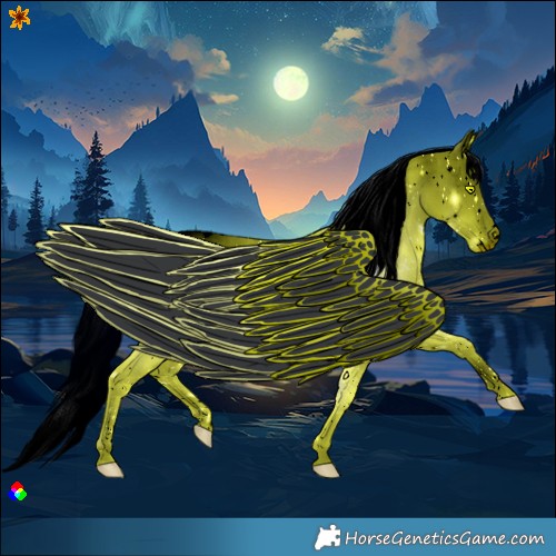 Horse Color:ERROR: UNKNOWN ANOMALY