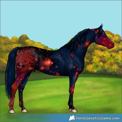 Horse Color:ERROR: UNKNOWN ANOMALY