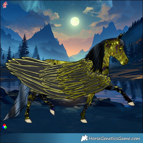 Horse Color:ERROR: UNKNOWN ANOMALY