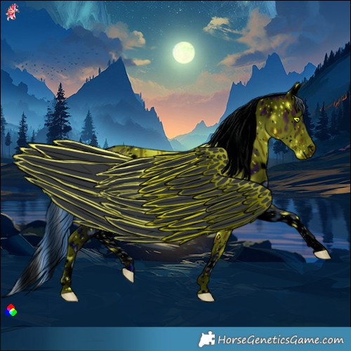 Horse Color:ERROR: UNKNOWN ANOMALY