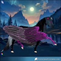 Horse Color:ERROR: UNKNOWN ANOMALY