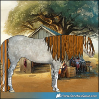 Horse Color:Painted Brown Ice Dun Splash 
