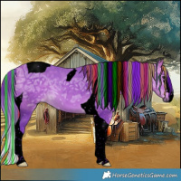 Horse Color:Void Painted Watercolor Buckskin Ice Tobiano 