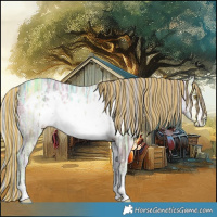 Horse Color:Painted Silver Brown Ice Frame Rabicano 