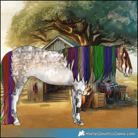Horse Color:Painted White Spotted Buckskin Ice Splash 