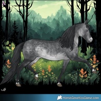 Horse Color:Brown Chinchilla 