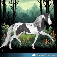 Horse Color:Silver Smoky Black Chinchilla Splash Tobiano