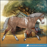Horse Color:Powder White Silver Bay Dun 