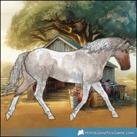 Horse Color:Silver Brown Roan Dun Tobiano 
