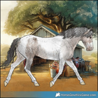 Horse Color:Powder White Brown Dun Tobiano