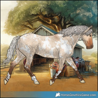 Horse Color:White Spotted Silver Bay Roan Dun 