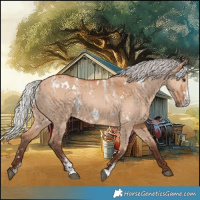Horse Color:Powder White White Spotted Silver Bay Dun