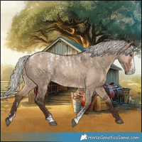 Horse Color:Powder White Silver Brown Dun 