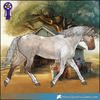 Horse Color:Silver Brown Roan Dun Tobiano 