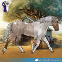 Horse Color:Silver Brown Roan Dun Tobiano