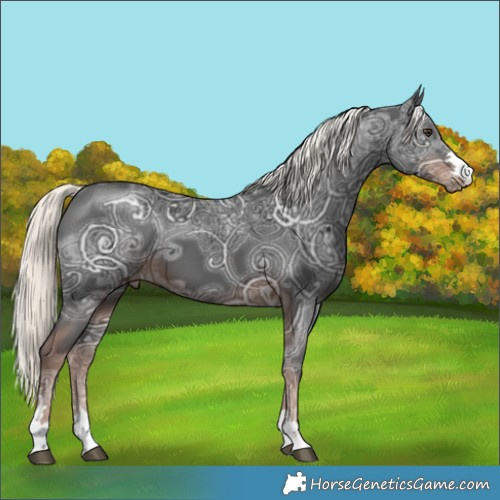 Horse Color:Liver Chestnut Ice Mushroom 