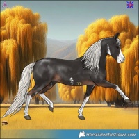 Horse Color:White Spotted Liver Chestnut Mushroom Rabicano 