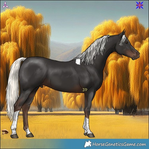 Horse Color:Liver Chestnut Mushroom Tobiano 