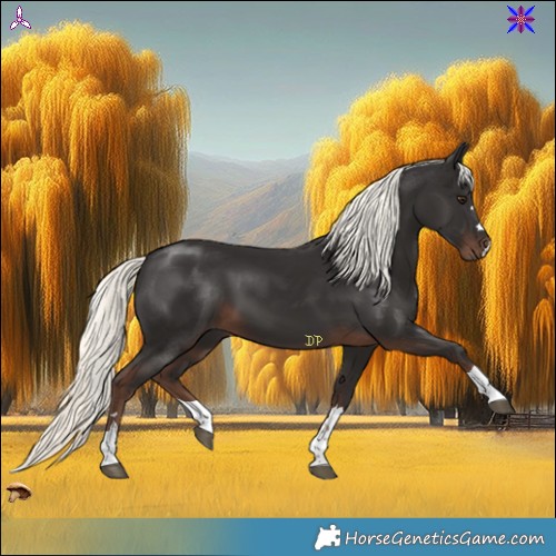Horse Color:Liver Chestnut Mushroom 