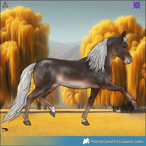 Horse Color:Liver Chestnut Mushroom 