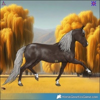 Horse Color:Liver Chestnut Mushroom Rabicano