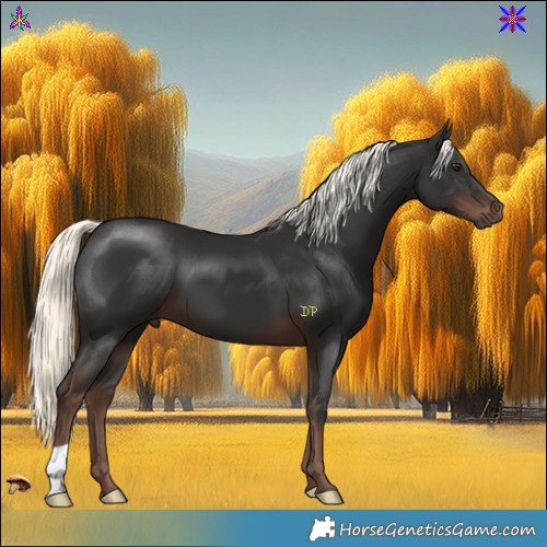 Horse Color:Liver Chestnut Mushroom 