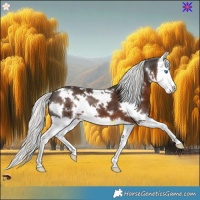 Horse Color:White Spotted Liver Chestnut Mushroom Splash