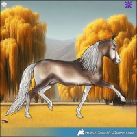 Horse Color:Liver Red Onyx Mushroom Rabicano