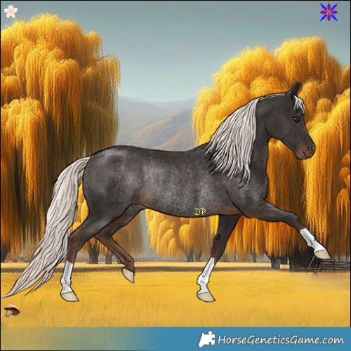 Horse Color:Liver Chestnut Mushroom Rabicano 