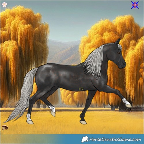 Horse Color:Liver Chestnut Mushroom