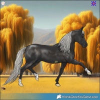 Horse Color:Liver Chestnut Mushroom