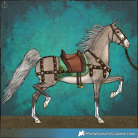 Horse Color:Silver Brown Dun 