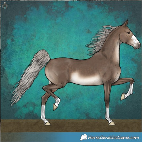 Horse Color:Silver Brown Dun 