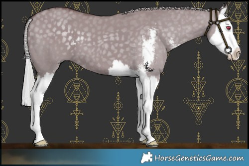 Horse Color:Chocolate Silver Grullo Chinchilla Sabino Splash