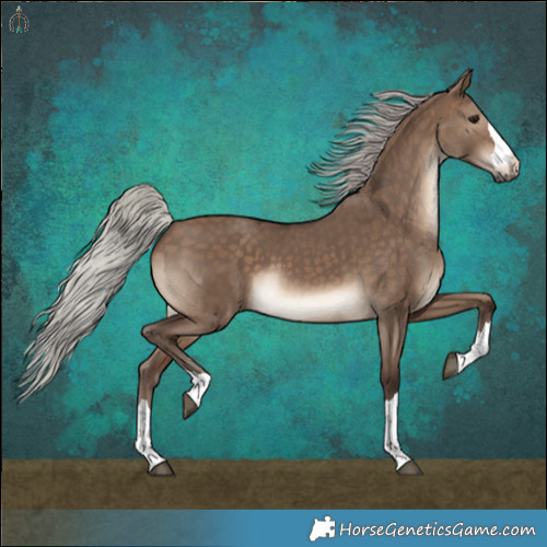 Horse Color:Silver Brown Dun