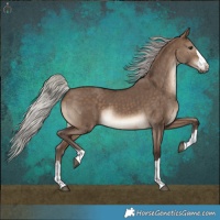 Horse Color:Silver Brown Dun