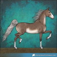 Horse Color:Silver Brown Dun 
