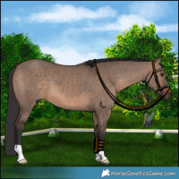 Horse Color:Brown Dun Mushroom