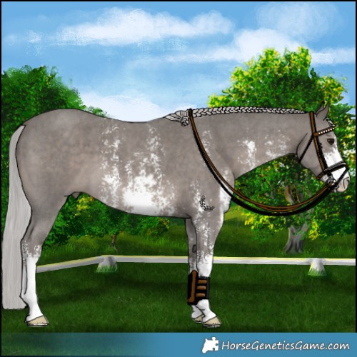 Horse Color:Platinum Silver Black Sabino 