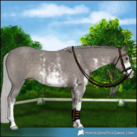 Horse Color:Platinum Silver Black Sabino 
