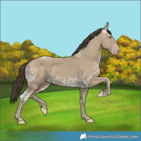 Horse Color:Classic Cream Champagne Ice 
