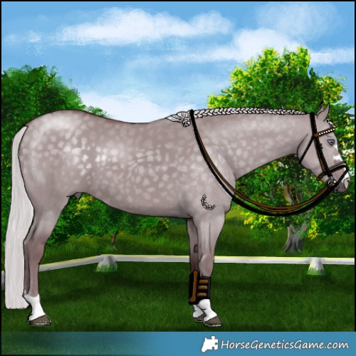 Horse Color:Chocolate Silver Smoky Grullo Chinchilla 