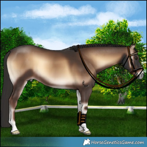 Horse Color:Liver Red Onyx 