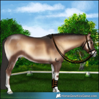 Horse Color:Liver Red Onyx 