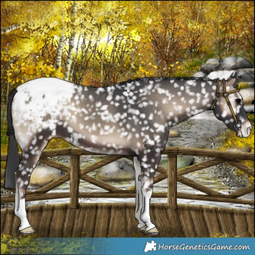 Horse Color:Blue Onyx Snowcap 