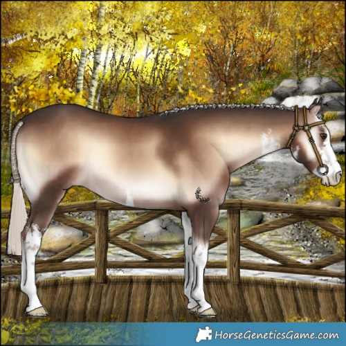 Horse Color:White Spotted Liver Red Onyx Mushroom 