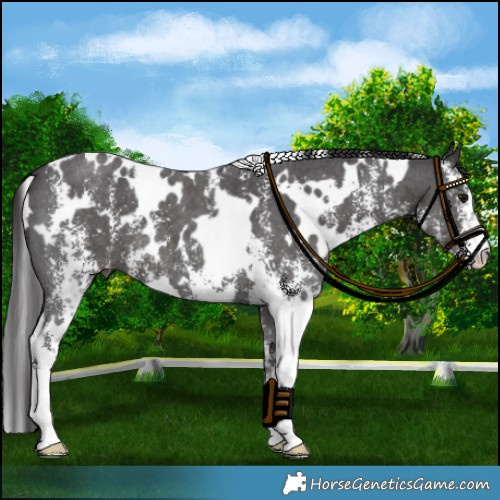 Horse Color:Platinum White Spotted Smoky Black Mushroom Sabino 