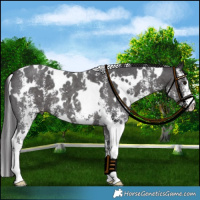 Horse Color:Platinum White Spotted Smoky Black Mushroom Sabino 