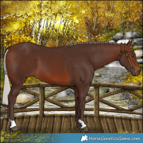 Horse Color:Silver Brown 